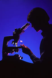 microscope.jpeg